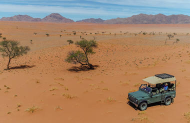 Activity vehicle