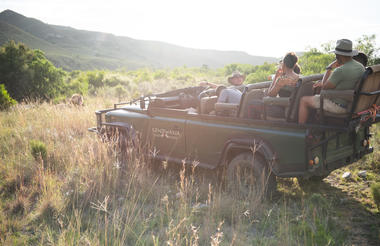 Game Drive 