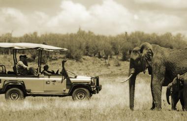 Saruni Mara - Out On Safari 