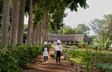 Ngorongoro Farm House - Chefs and Garden
