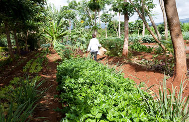 Ngorongoro Farm House - Karatu