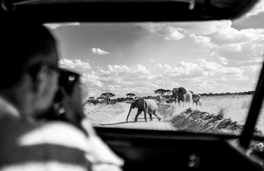 Game Drives Crater Floor