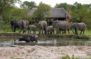 Simbambili Game Lodge