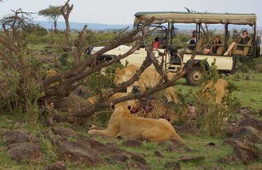  Game drive within Mara North Conservancy