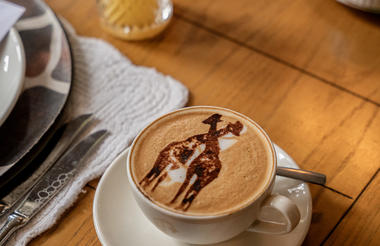 A giraffe and a coffee