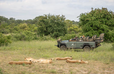 Game Drive 