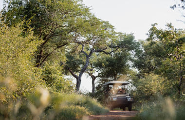 Game Drive