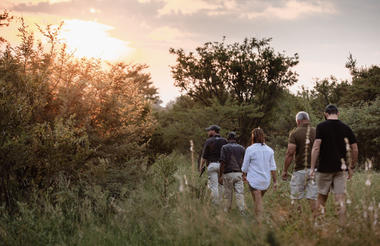 Bush Walk