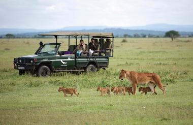 Africa-Tanzania-Grumeti-Experience-Game-drive-branded-vehicle-with-lioness-and-cubs_2