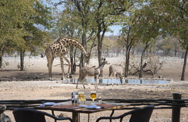 Ongava Tented Camp waterhole