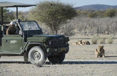 Ongava Game Reserve - game drive 
