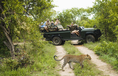 Game Drive