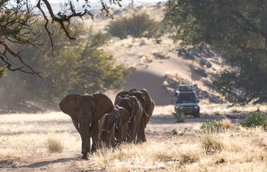 Damaraland Camp