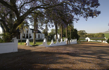 Wine Estate