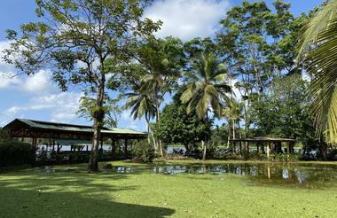 Lirio Lodge