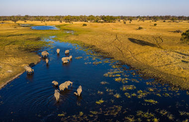Tuludi Camp - Khwai Private Reserve Okavango Delta 