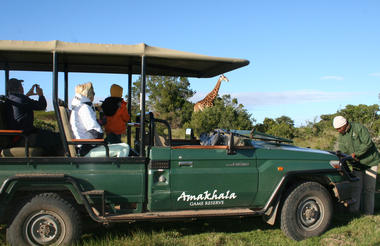 Amakhala Game Reserve Kids on Safari