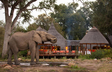 2. Signature Hoyo Hoyo Safari Lodge - Wildlife - Elephant