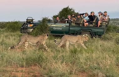 Big Game Walking Safari