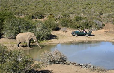 Safari & Wildlife at Kwandwe Private Game Reserve