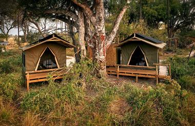 Oddballs' Camp Tents