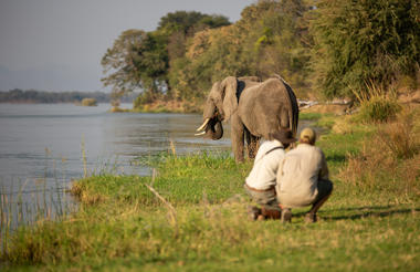 Guided Bush Walks in Sapi