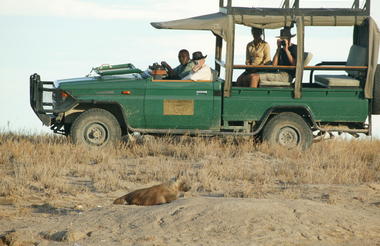 Camp Activities - Game Drives