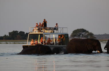 Chobe River Campsite