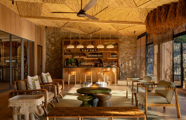 Bar & Main Area