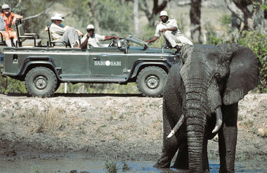 Sabi Sabi Game Drives