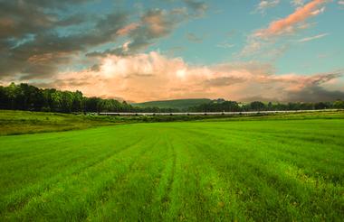 The train travelling through the Natal Midlands