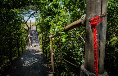 Mara Plains Entry Bridge