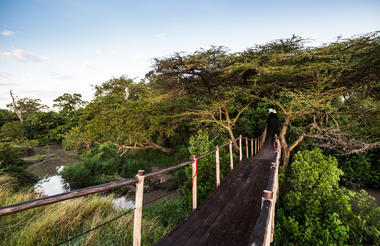 Mara Plains Entry Bridge