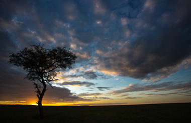 Sunset in the Masai Mara