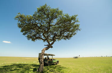 Masai Mara Landscape