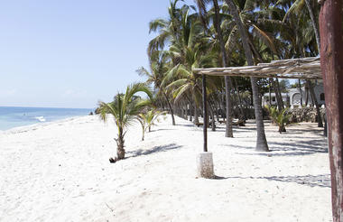 The Coconut Beach Lodge beach