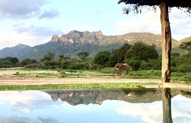 Kalepo Pool and Wildlife Watering Hole 