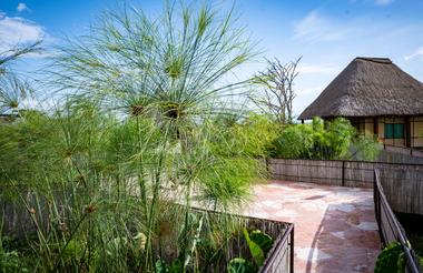 Little Okavango Camp