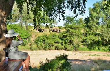 Imbali Safari Lodge - View