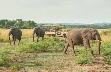 Game Drive