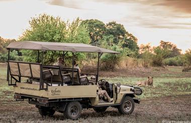 Kafunta Safaris Game Drive