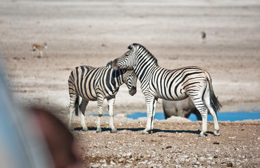 Etosha Safari Camping2Go 