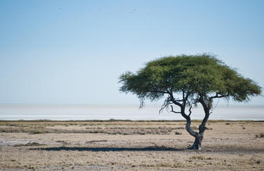 Etosha Safari Camping2Go