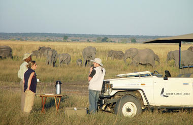 Game drive in Chobe National park