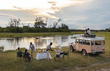 Feline Fields Vintage Camp