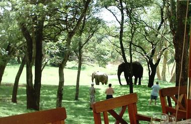 Lunch on the veranda at the Elephant safari Lodge