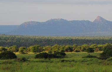 Looking out from camp