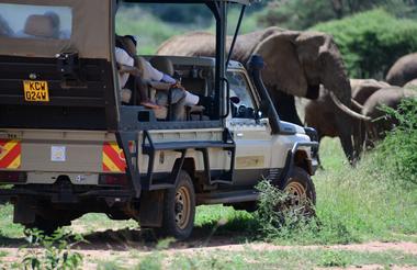 Game Drive