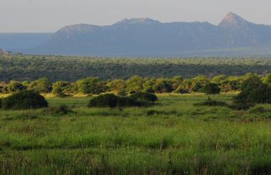 Tumaren Landscape