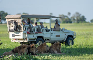 Xigera Safari Lodge